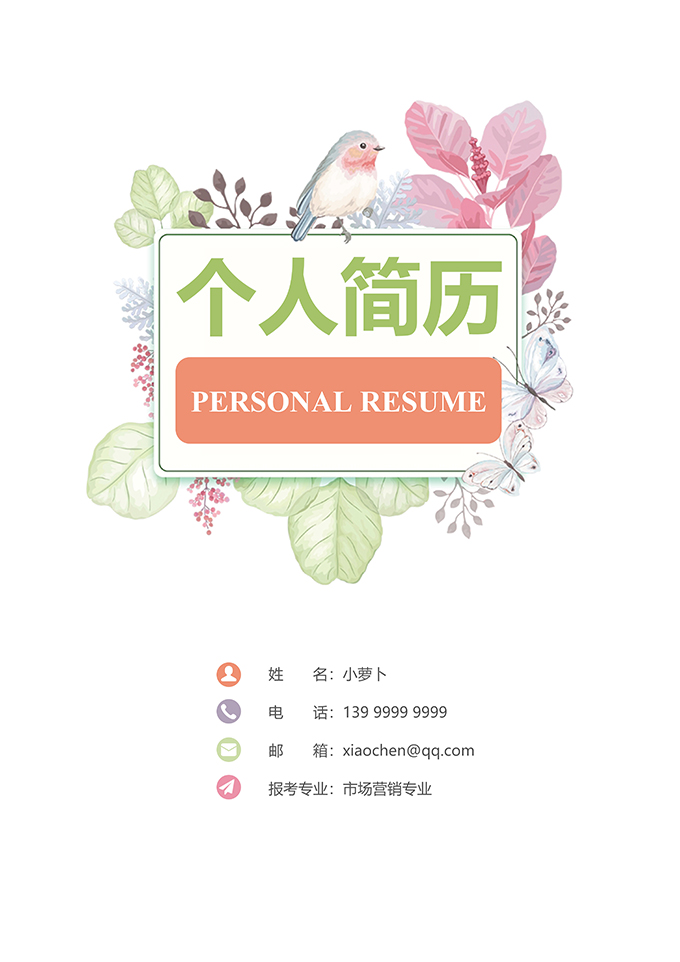 最美简历合集